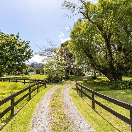 Jacaranda Lodge Coromandel Екстериор снимка