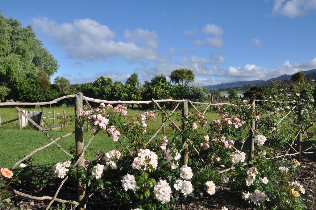 Jacaranda Lodge Coromandel Екстериор снимка