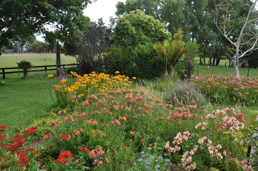 Jacaranda Lodge Coromandel Екстериор снимка