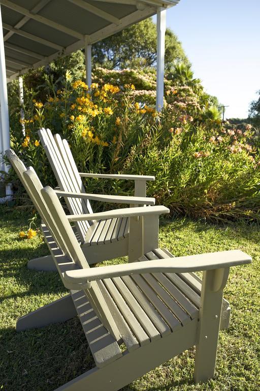 Jacaranda Lodge Coromandel Екстериор снимка