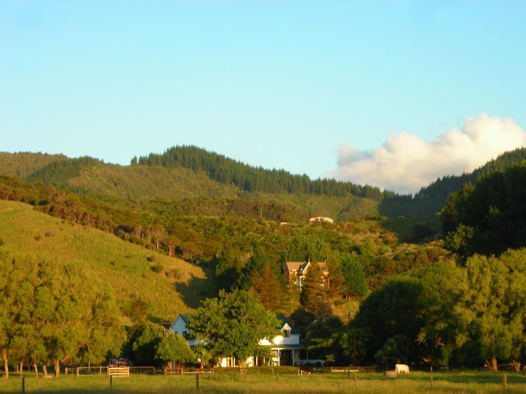 Jacaranda Lodge Coromandel Екстериор снимка