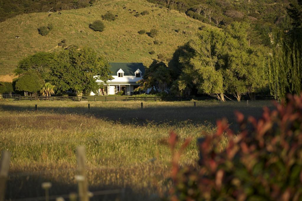 Jacaranda Lodge Coromandel Екстериор снимка