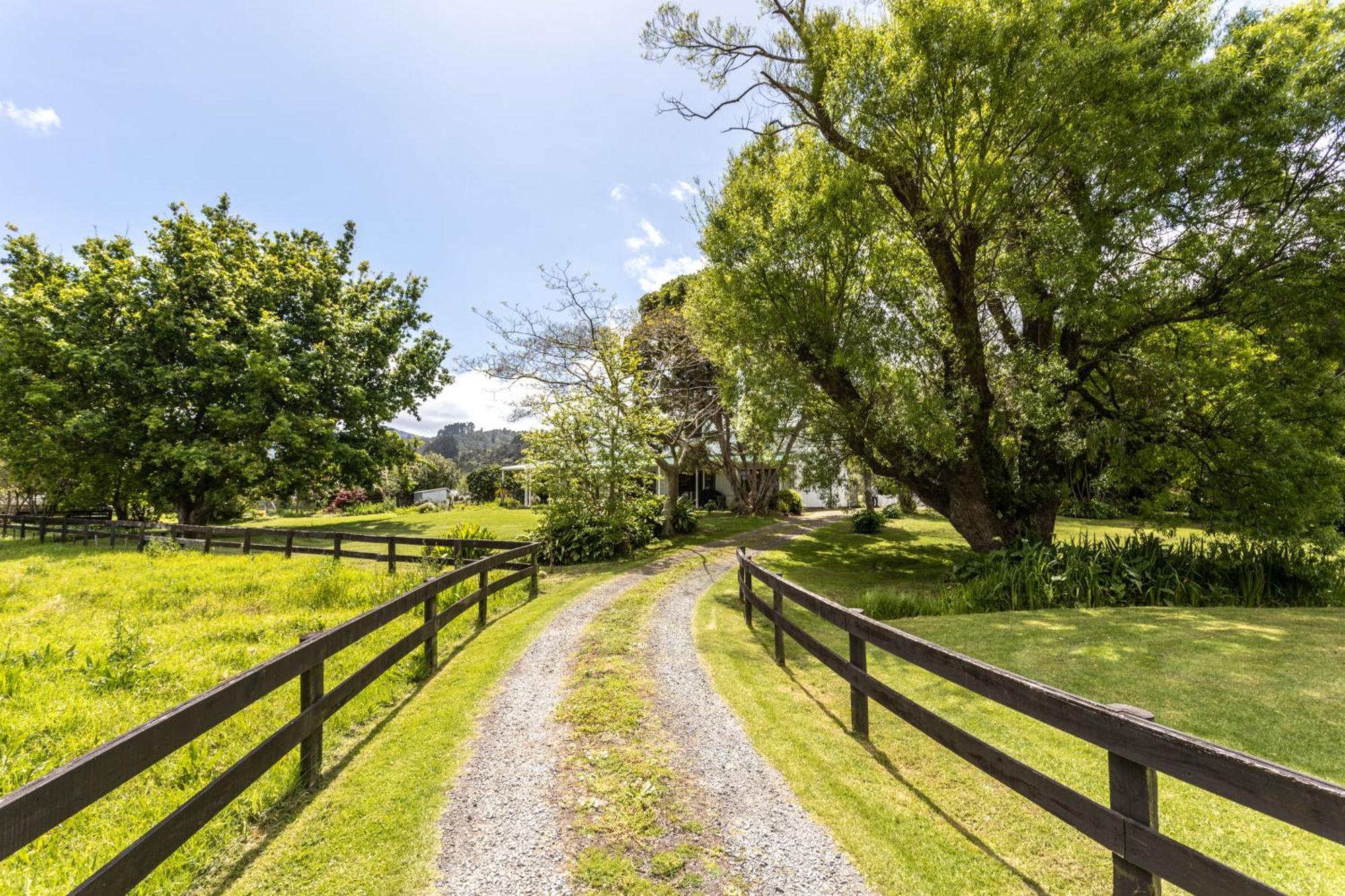 Jacaranda Lodge Coromandel Екстериор снимка