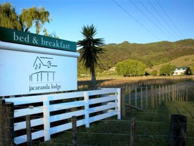 Jacaranda Lodge Coromandel Екстериор снимка