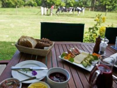 Jacaranda Lodge Coromandel Екстериор снимка